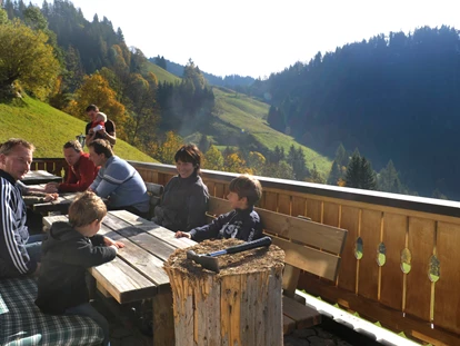 Hundehotel - Tauplitz - Terrasse am Irxnerhof - Bergbauernhof Pension Irxner
