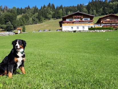 Hundehotel - Tauplitz - Urlaub mit dem Hund - ihr Hund hat sehr viel Freiraum bei uns - Bergbauernhof Pension Irxner