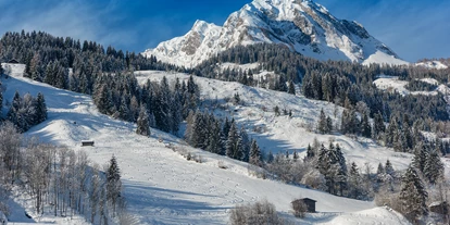 Hundehotel - Preisniveau: günstig - Berchtesgaden - Die Unterbergerin