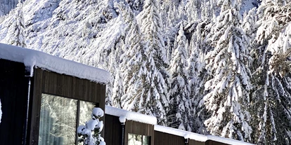 Hundehotel - Feldthurns - Skyview Chalets am Camping Toblacher See