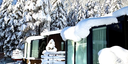 Hundehotel - Feldthurns - Skyview Chalets am Camping Toblacher See