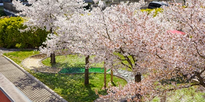 Hundehotel - Wellnessbereich - Kumberg - Barfußweg - Asia Hotel & Spa Leoben