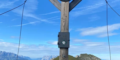 Hundehotel - in einer Ferienanlage/Wohnanlage - Großarl - Lui wandert zum Frauenkogel im Großarltal - Birnbaum Chalets