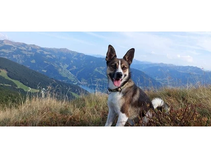Hundehotel - Pools: Schwimmteich - Wanderung mit Hund inkl. Panoramaaussicht mit Start vor dem Hotel - Berghotel Jaga Alm
