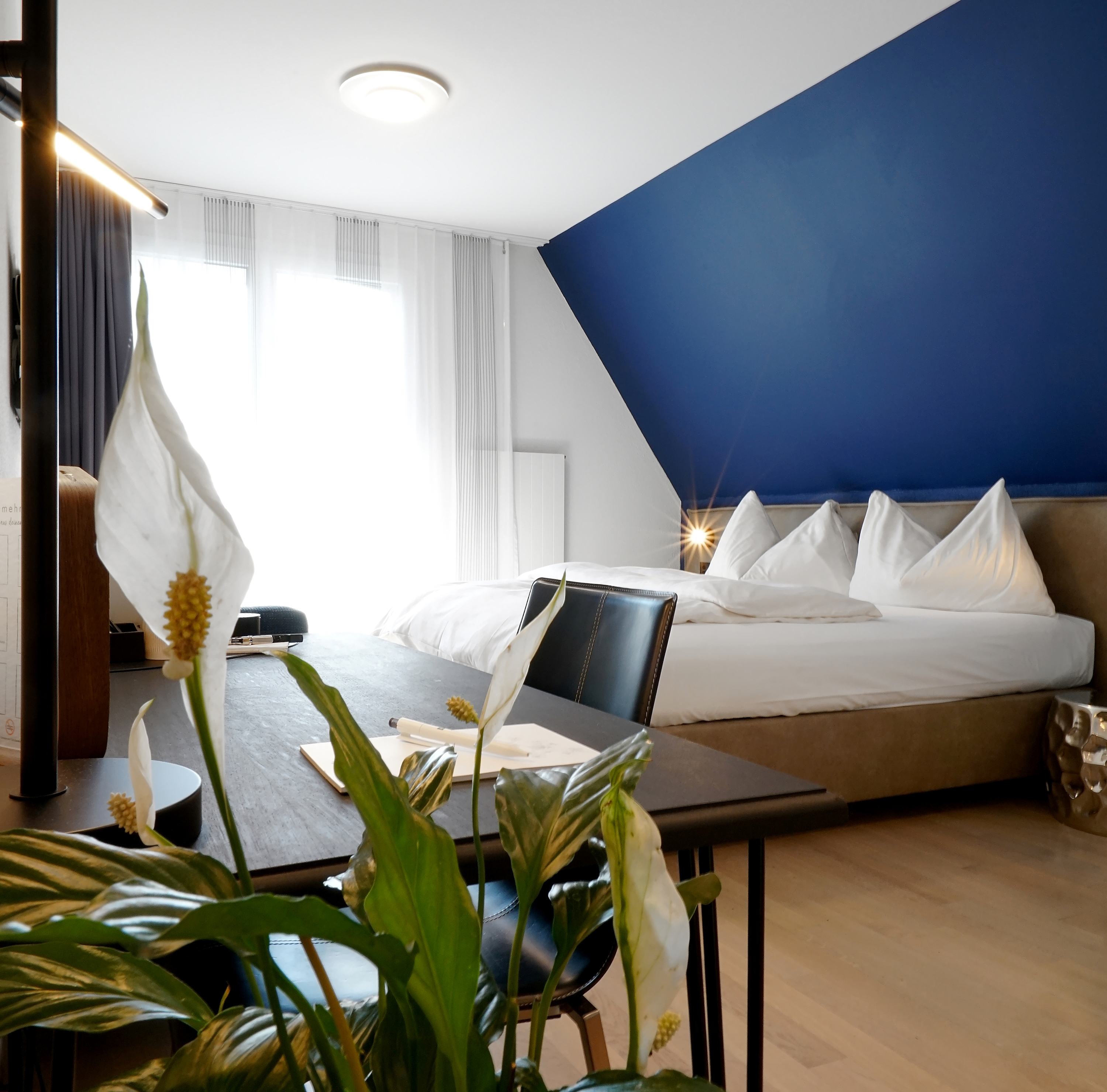 Urlaub-mit-Hund: PREMIUM Zimmer - Hotel Zugertor