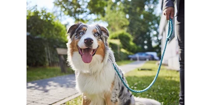 Hundehotel - WLAN - Hamburg-Stadt (Hamburg, Freie und Hansestadt) - Aufenthalt mit Hund - appartello - smarttime living Hamburg