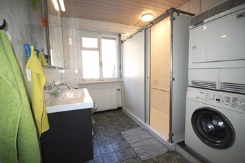 Ferienhaus mit Hund: Toilette mit Dusche, Waschmaschine, Trockner - alscher's holiday home