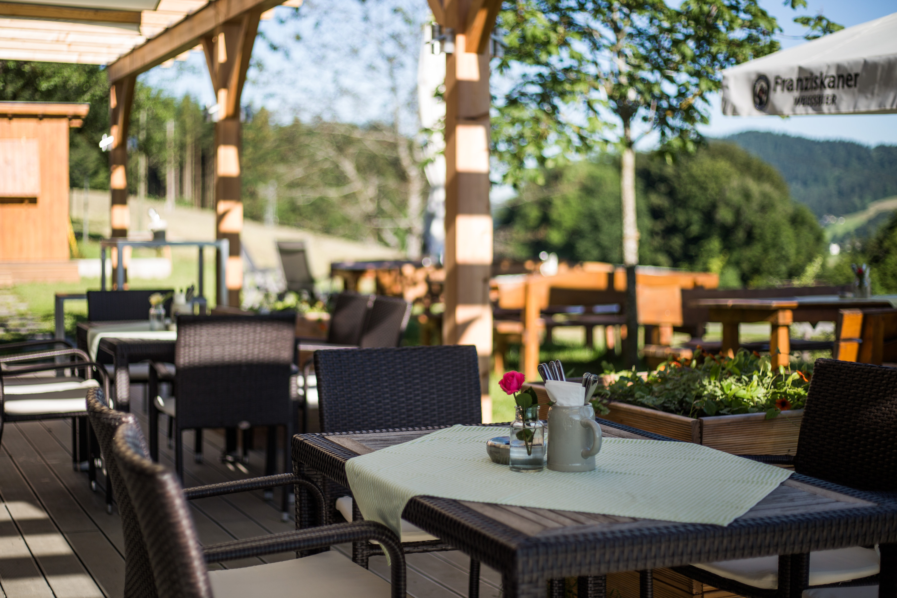 Hundehotel - Österreich - Gastgarten mit Sonnenterrasse - Hotel-Gasthof Am Riedl