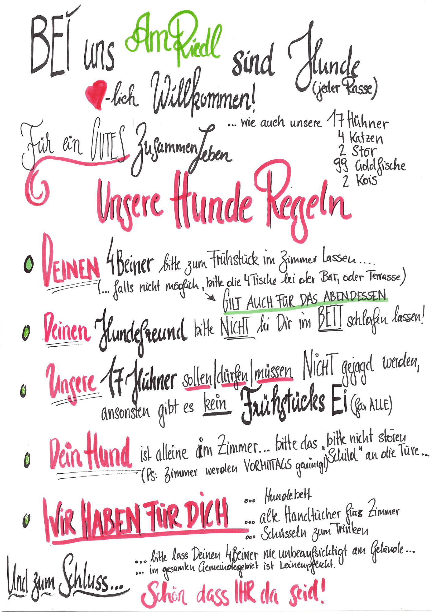 Urlaub-mit-Hund: Hunde-Regeln - Hotel-Gasthof Am Riedl - Urlaub mit Hund