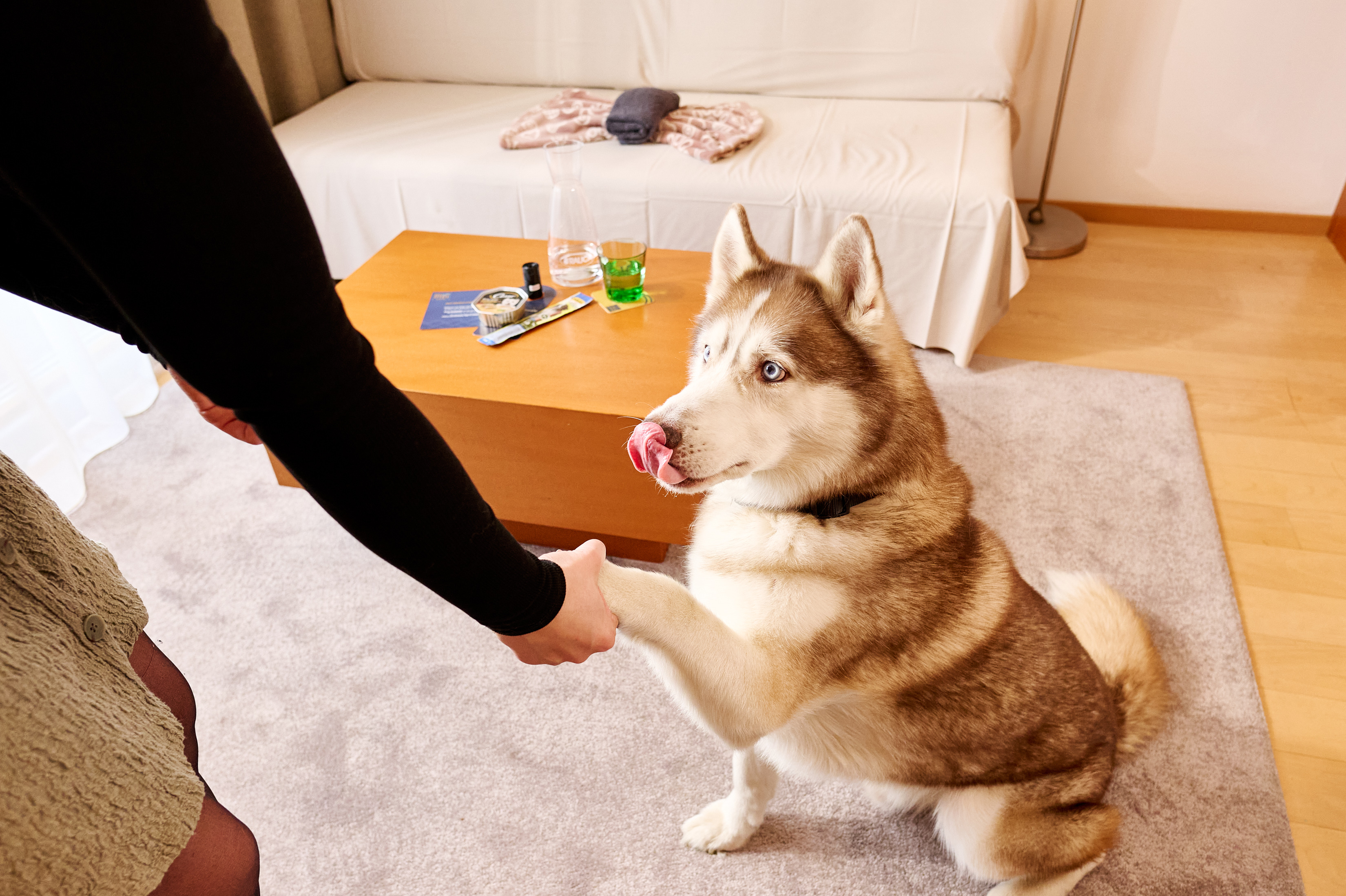 Urlaub-mit-Hund: SPA RESORT STYRIA