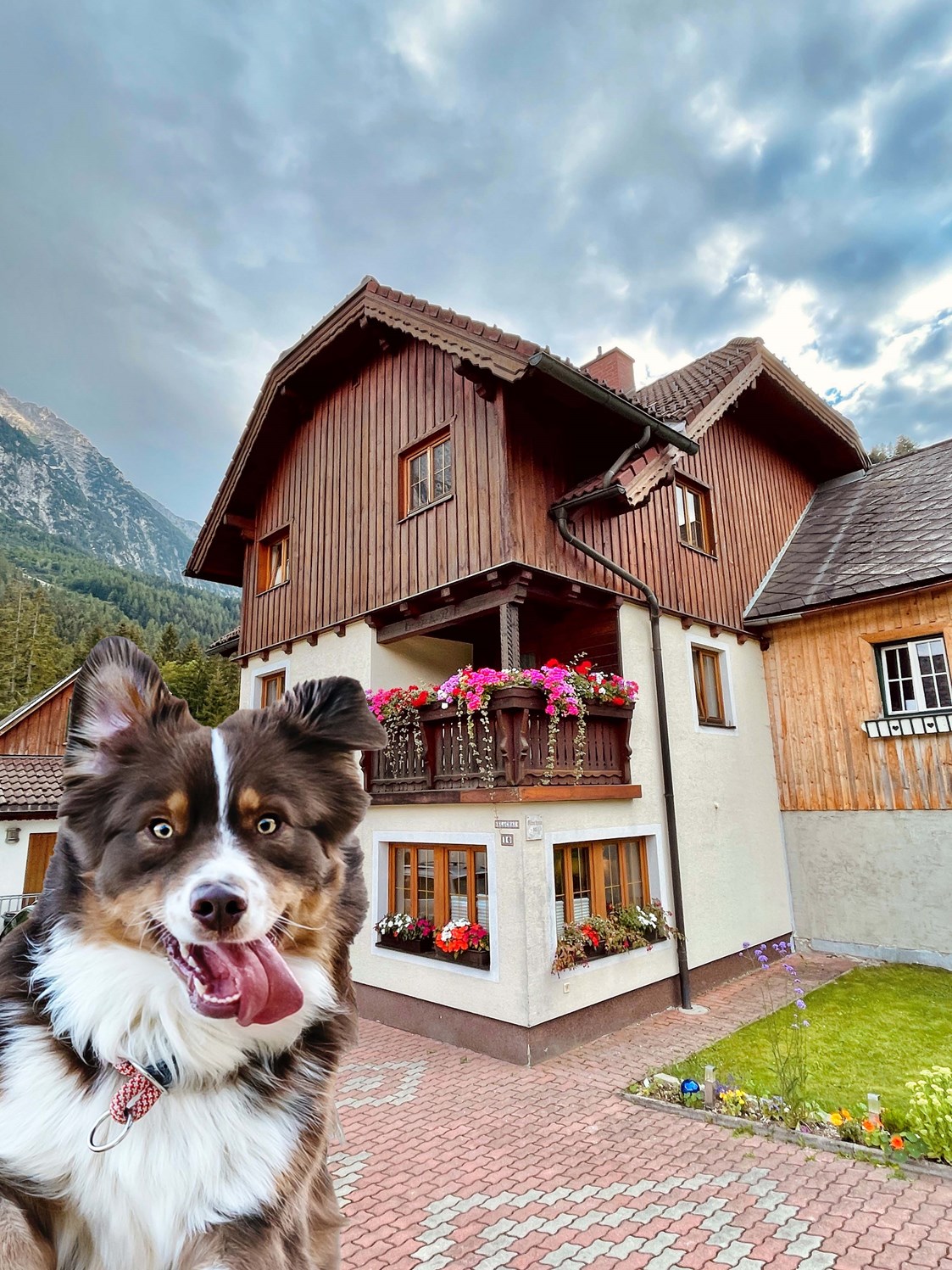 Urlaub-mit-Hund: Haus Tauplitz Sommer - Haus Tauplitz