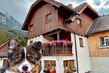 Urlaub-mit-Hund: Haus Tauplitz Sommer - Haus Tauplitz