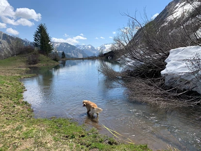 Hundehotel - Pools: Schwimmteich - Natur.Genuss.Hotel - Sonnasita