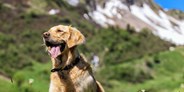 Hundehotel - Klassifizierung: 3 Sterne S - Hotelhund LUKE - Natur.Genuss.Hotel - Sonnasita
