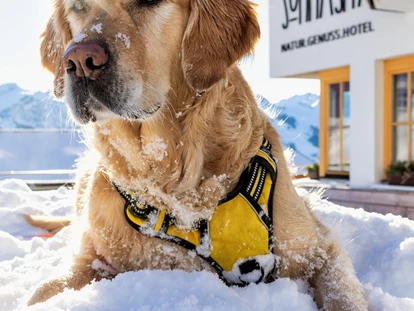 Hundehotel - Pools: Schwimmteich - HotelHund Luke  - Natur.Genuss.Hotel - Sonnasita