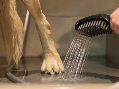 Hundehotel - Pools: Schwimmteich - Hundedusche im Dogcenter - Natur.Genuss.Hotel - Sonnasita