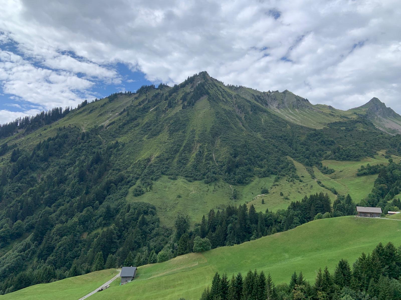 Urlaub-mit-Hund: Natur.Genuss.Hotel - Sonnasita