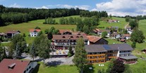 Hundehotel - Ostbayern - Aus der Natur ragen die Bäume buchstäblich heraus.  - Hotel der Bäume