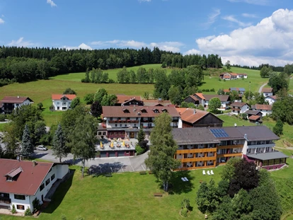 Hundehotel - Doggies: 3 Doggies - Aus der Natur ragen die Bäume buchstäblich heraus.  - Hotel der Bäume