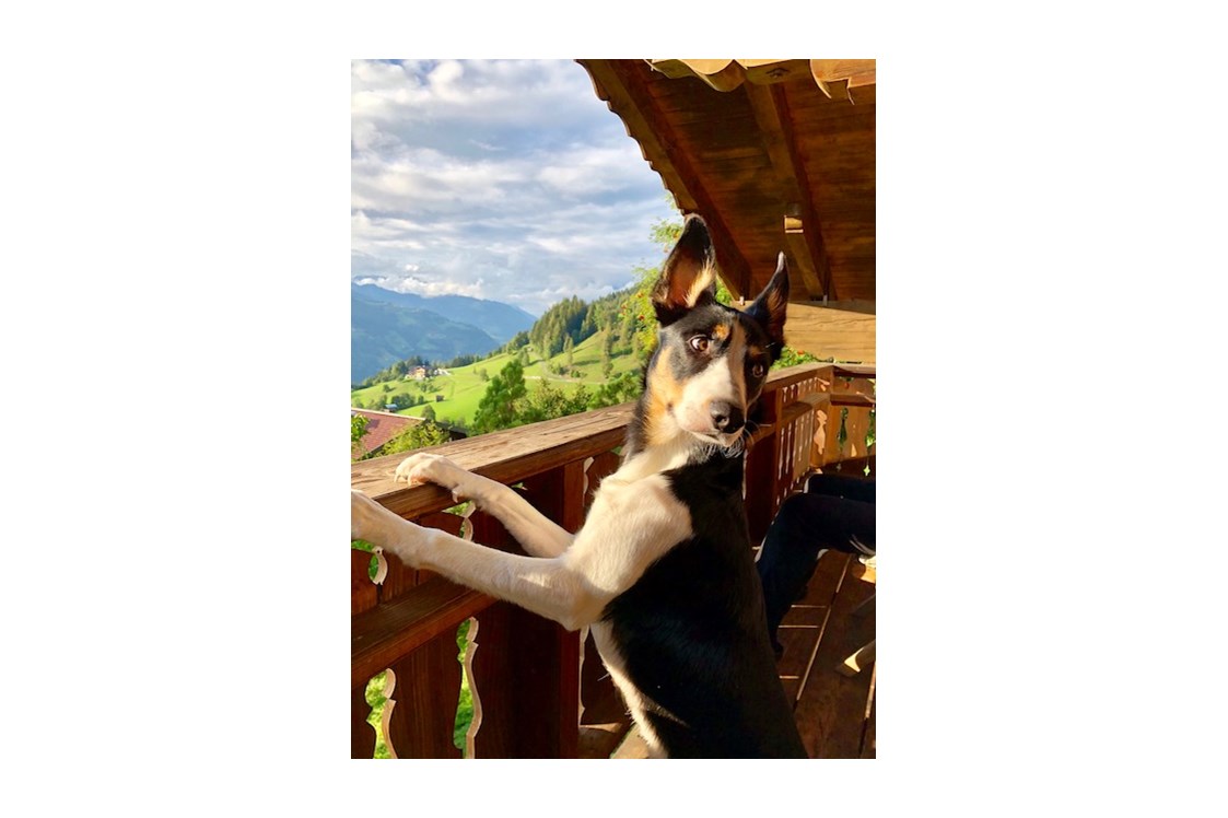 Ferienhaus mit Hund: Balkon im Art Chalet - Art Chalet Vorderschuhzach