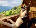 Ferienhaus mit Hund: Balkon im Art Chalet - Art Chalet Vorderschuhzach