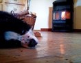Ferienhaus mit Hund: Wohnzimmer im Art Chalet mit schwedischem Ofen - Art Chalet Vorderschuhzach