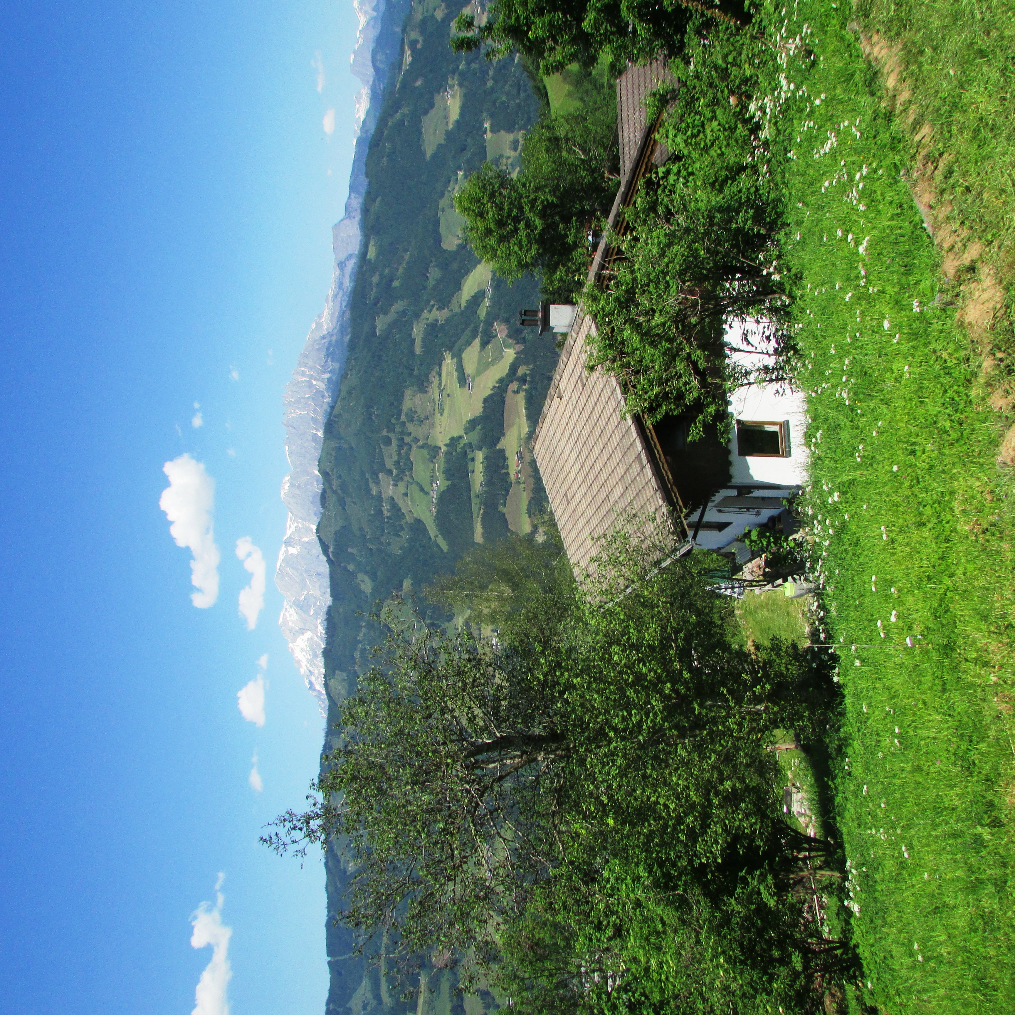 Art Chalet Vorderschuhzach Ferienhaus mit Hund in Österreich