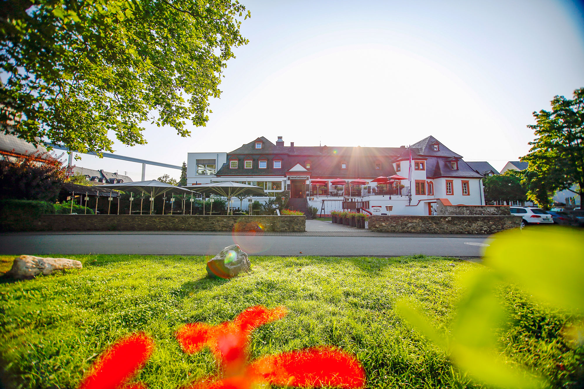 Hundehotel - Hund im Restaurant erlaubt - Hotel & Restaurant Deutschherrenhof - Deutschherrenhof