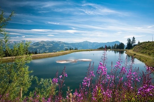 Chaletdorf ZellerSee Ausflüge mit Hund Speichersee Plettsaukopf