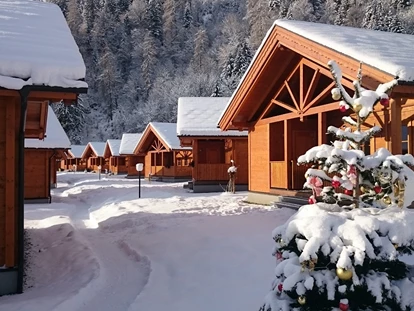 Hundehotel - WLAN - Berchtesgaden - Winterlandschaft - Chaletdorf ZellerSee