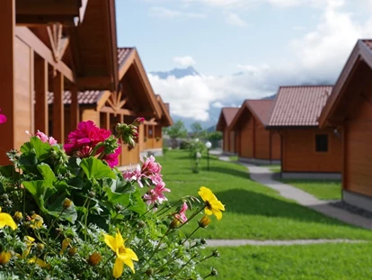 Hundehotel - WLAN - Berchtesgaden - Frühling - Chaletdorf ZellerSee