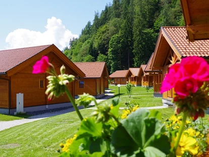 Hundehotel - WLAN - Berchtesgaden - Feriendorf - Chaletdorf ZellerSee
