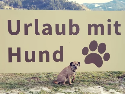 Hundehotel - WLAN - Berchtesgaden - Urlaub mit Hund - Chaletdorf ZellerSee