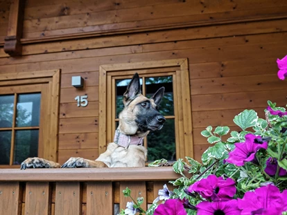 Hundehotel - WLAN - Berchtesgaden - vor dem Haus - Chaletdorf ZellerSee