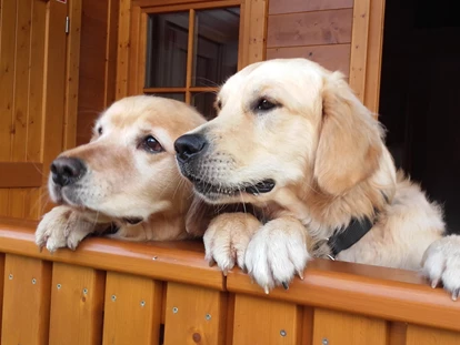 Hundehotel - WLAN - Berchtesgaden - auf der Veranda - Chaletdorf ZellerSee