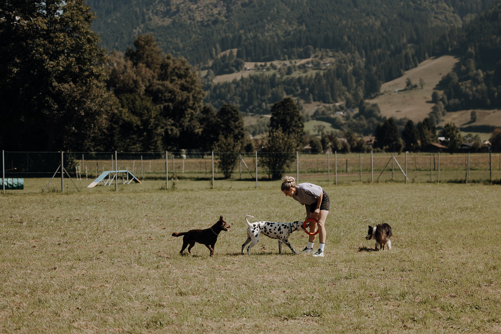 Urlaub-mit-Hund: Chaletdorf ZellerSee