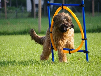 Hundehotel - WLAN - Berchtesgaden - Am Agilityplatz - Chaletdorf ZellerSee
