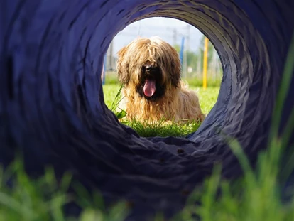 Hundehotel - WLAN - Berchtesgaden - Am Agilityplatz - Chaletdorf ZellerSee
