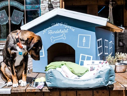 Hundehotel - Pools: Schwimmteich - Alpenhotel Tyrol - 4* Adults Only Hotel am Achensee