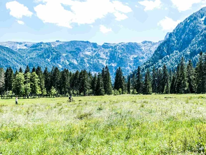 Hundehotel - Pools: Schwimmteich - Alpenhotel Tyrol - 4* Adults Only Hotel am Achensee