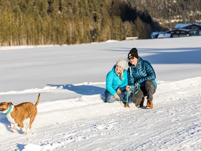 Hundehotel - Pools: Schwimmteich - Alpenhotel Tyrol - 4* Adults Only Hotel am Achensee
