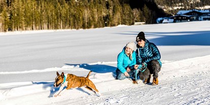 Hundehotel - Agility Parcours - Alpenhotel Tyrol - 4* Adults Only Hotel am Achensee