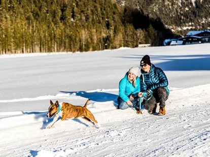 Hundehotel - Pools: Schwimmteich - Alpenhotel Tyrol - 4* Adults Only Hotel am Achensee