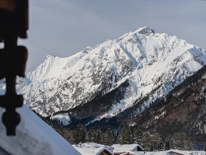 Hundehotel - Pools: Schwimmteich - Alpenhotel Tyrol - 4* Adults Only Hotel am Achensee