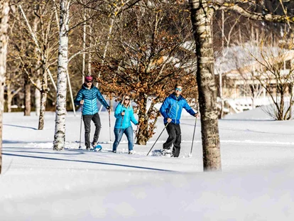 Hundehotel - Pools: Schwimmteich - Alpenhotel Tyrol - 4* Adults Only Hotel am Achensee