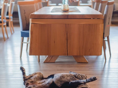 Hundehotel - Pools: Schwimmteich - Alpenhotel Tyrol - 4* Adults Only Hotel am Achensee