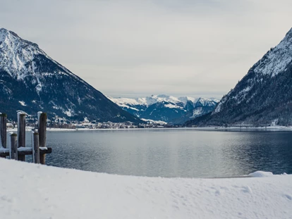 Hundehotel - Pools: Schwimmteich - Alpenhotel Tyrol - 4* Adults Only Hotel am Achensee