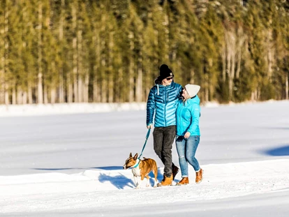 Hundehotel - Pools: Schwimmteich - Alpenhotel Tyrol - 4* Adults Only Hotel am Achensee