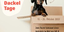 Hundehotel - Ried im Zillertal - Alpenhotel Tyrol - 4* Adults Only Hotel am Achensee