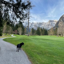 Urlaub-mit-Hund: Malerische unmittelbare Umgebung  - Alpenhotel Tyrol - 4* Adults Only Hotel am Achensee